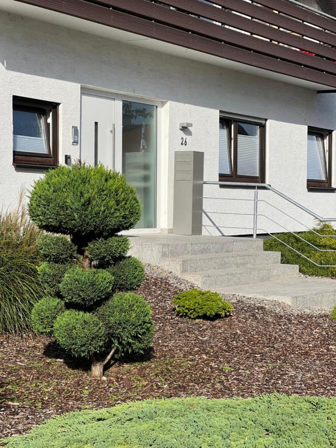 Xxl Apartment Sinsheim Esterno foto