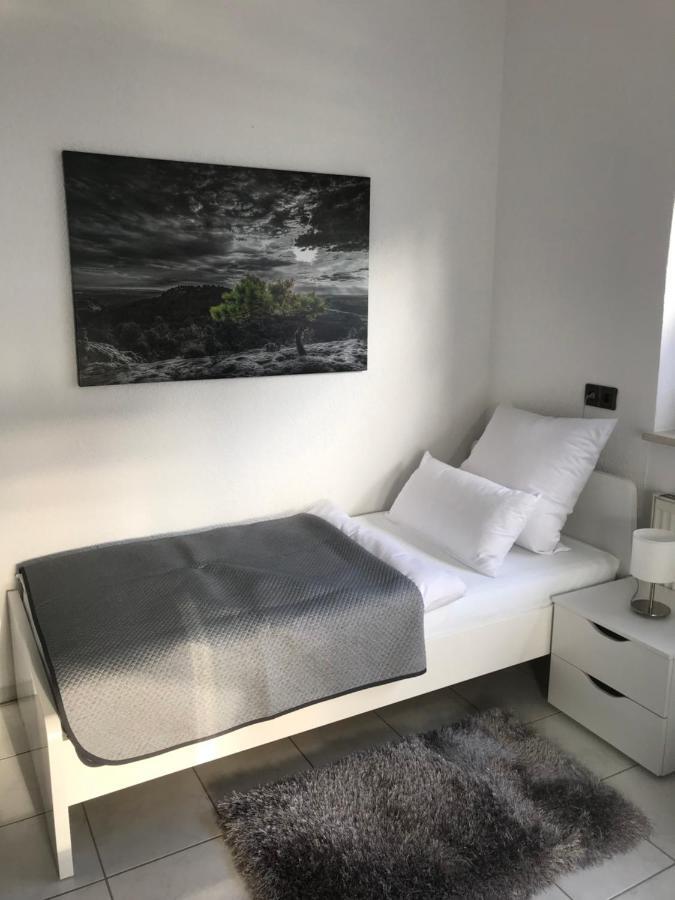 Xxl Apartment Sinsheim Esterno foto